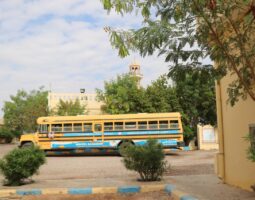 (تجريبي) experimental