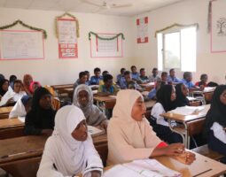 (تجريبي) experimental